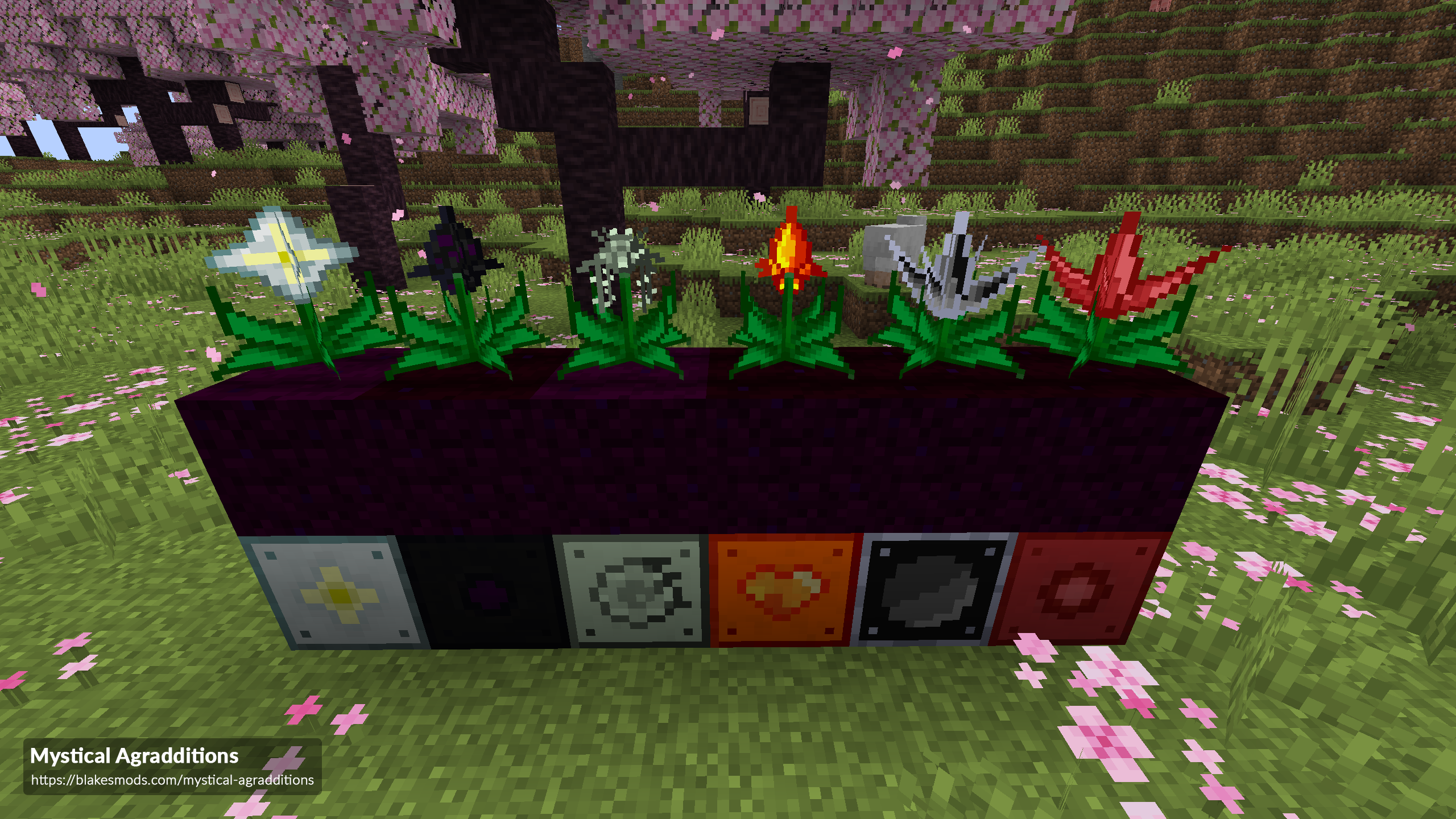 Mystical Agradditions hero image